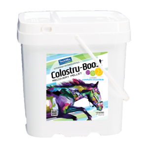 Photo of Equine Colostru-Boost Pellets