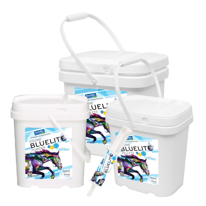 Equine BlueLite® | Effective electrolyte for horses | TechMix