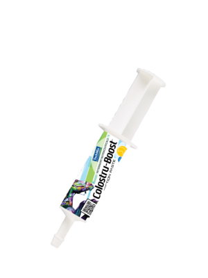 Photo of Equine Colostru-Boost protection paste