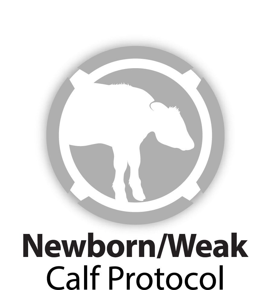 Newborn/Weak Calf Protocol graphic